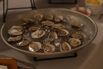 Oysters in a dish