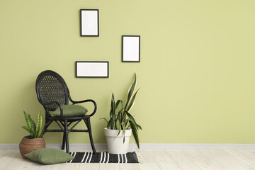 Chair, houseplants and cushions near green wall in interior of modern room