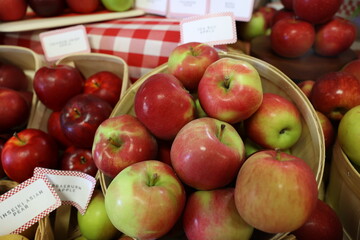 apples in a basket