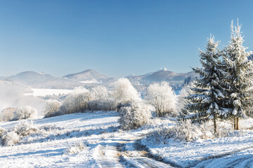A pristine winter scene unfolds with snow-laden trees and a clear blue sky. Distant mountains add to the serene beauty of the frosted landscape and a snowy path. North of Slovakia, Europe.