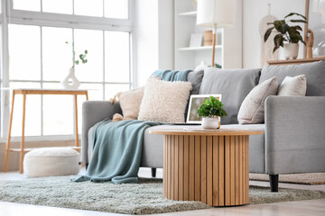 Fototapeta premium Plant on table near sofa in living room interior