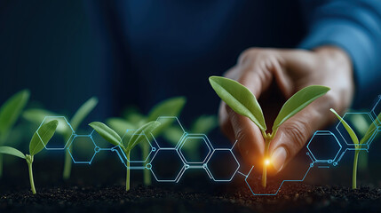 Hand tending young sprout with glowing hexagonal interface hovering above soil.