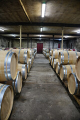 Wine industry storage and production facility with wine barrels