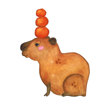 Capybara with oranges on head. Watercolor illustration hand drawn cartoon. Drawing for print on cake, stickers, poster, fabric. Animal, fruit, rodent, brown, kids, capybar