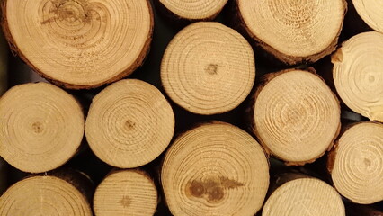 Natural wood log cross section texture background