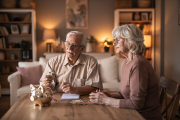 Old Couple Saving Money At Home: Retirement Plans, Piggy Bank, And Friendly Conversation