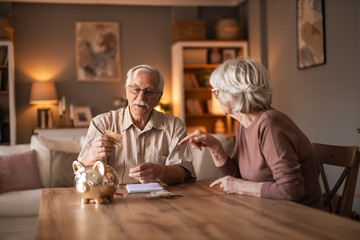 Elderly Couple At Home Saving Money With Piggy Bank During Retirement Planning