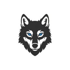 Fototapeta premium Intense Wolf Head Portrait with Blue Eyes and Dark Fur.