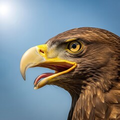 Majestic Golden Eagle Portrait Against a Clear Blue Sky.