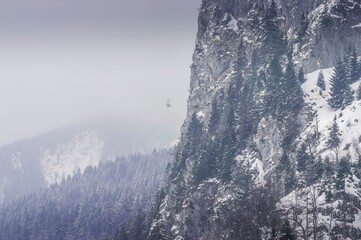 Cable car in the forest of Tegelberg, Bavaria, Germany
