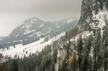 Forest and mountains in Tegelberg, Bavaria, Germany