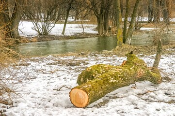 Englischer Garten during the winter in Munich, Germany
