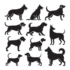 Vector of silhouettes of domestic animals such as dogs, sheep, cows, goats and camels on a white background