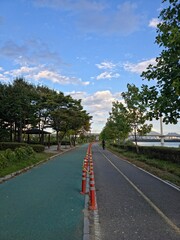 구리한강시민공원의 가로수가 있는 산책로 풍경