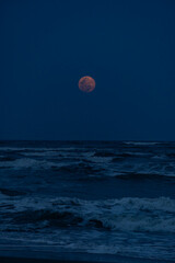 A powerful full moon illuminating the deep blue tones of the ocean, creating a mystical and cinematic atmosphere. The blue background of the sea blends with moonlight reflections, evoking calm, depth,