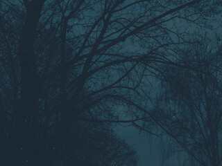 Eerie winter evening turns into night, dusk scene. Dark, bare tree silhouettes against a deep blue sky, symbolizing mystery, solitude and cold weather fall season. Perfect spooky seasonal background.