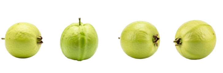 Set of Four Fresh Indian Gooseberry Amla Fruits Isolated on Transparent PNG Background, Oil Paint