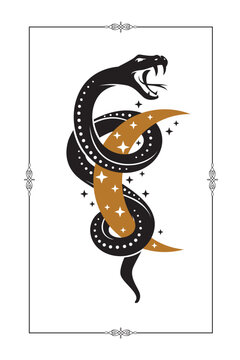 illustration of magic snake with crescent isolated on white background
