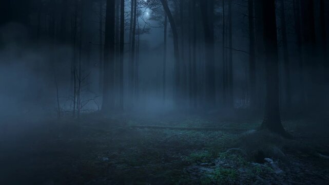 Eerie dark forest at night with dense fog swirling through ancient trees, creating a mysterious and atmospheric woodland scene perfect for horror and fantasy projects