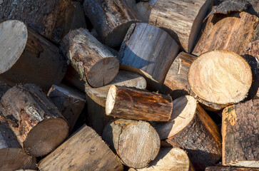 Close-up of a pile of freshly cut, stacked logs and firewood, showing varied textures, colors, and end-grain patterns in sunlight and shadow