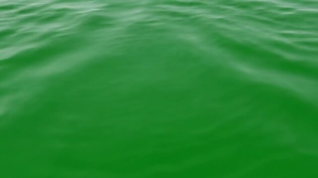 Ripples on a serene lake at dawn with Slow, calming water ripple effect effect ad_ready green screen ripple effects style featuring