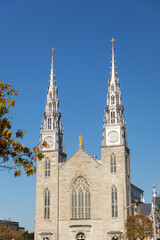Notre-Dame Cathedral Basilica in Ottawa, Canada. Landmark church in downtown in autumn