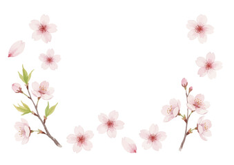 ページに移動|12345...9次へ
Watercolor-style cherry blossom illustration／桜