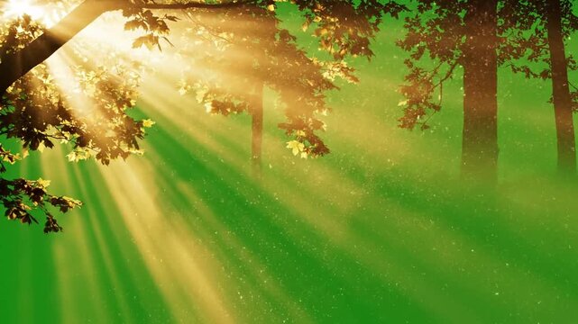 Flickering Light Pillar Through Trees with dynamic light beams flashing on effect green screen light beams style featuring