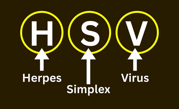 HSV Meaning, Herpes Simplex Virus