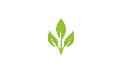 Green Sprout Growing Plant Leaf Symbol.