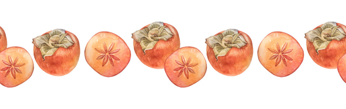 Watercolor seamless border with slice of persimmon on white background. Summer and autumn sweet food. Fruit for dessert. Cookbook and card menu. Hand-drawn rim for recipe, wallpaper or wrapping