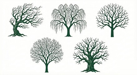 Bare Branches: Minimalist Tree Graphics for Design Projects