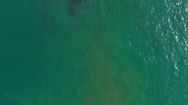 Drone gliding in bird&rsquo;s-eye view above Atlantic ocean waves and rugged rocky coastline near &Acirc;ncora, Portugal, showing textured water, white sea foam, and natural coastal patterns
