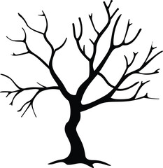 Fototapeta premium Silhouette of Bare Tree with Branches on White Background, Autumn Season