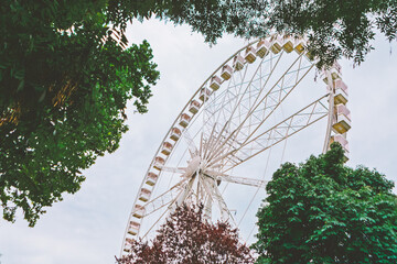 Large white Ferris wheel rising above lush green trees under an overcast sky. White structural framework of the amusement park ride is visible through a natural canopy of tree leaves