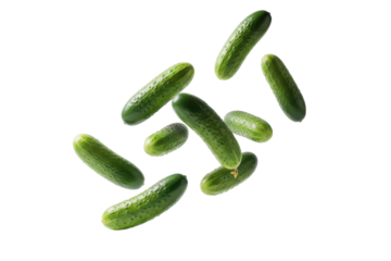Fresh mini cucumber falling in motion, vegetable cutout