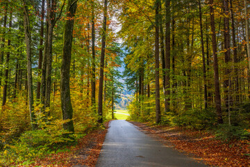 Autumn in the Austrian Alps, Vorarlberg