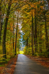 Obraz premium Autumn in the Austrian Alps, Vorarlberg