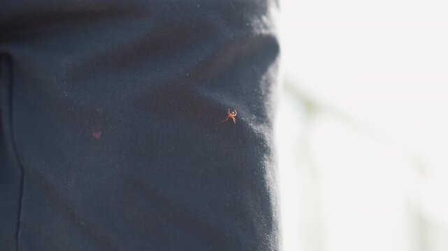 wet fabric sleeve with shimmering droplets and sunlight highlights closeup study of textile texture, visible seam and thread, subtle abrasion and wear after rain, quiet atmospheric clarity