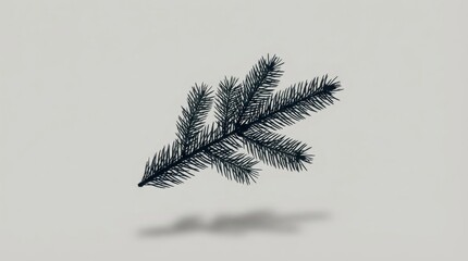 Obraz premium Fir Branch on Grey Background