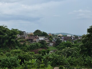 Obraz premium view of green trees with houses around it
