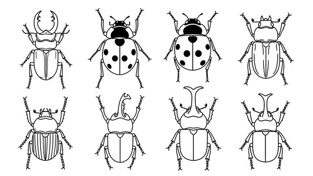 Insect beetle outline icon set black and white line art collection of various bug species vector illustration design
