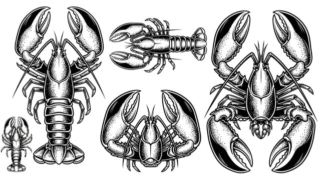 Vintage lobster and crayfish seafood hand drawn illustration set in black and white woodcut engraving style vector