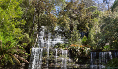 Outdoor view of Russell Falls waterfall, Tasmania