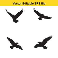 Obraz premium black and white illustration of a woman with an aromatherapy diffuser and citrus fruits