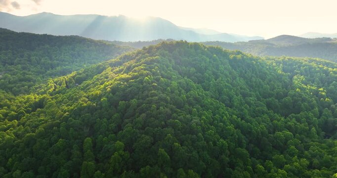 Bright sunrise in North Carolina Appalachian mountains in summer season. Summertime landscape of beautiful nature