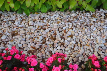 texture, gravel, flowers, leaves, white, pink, green,photo