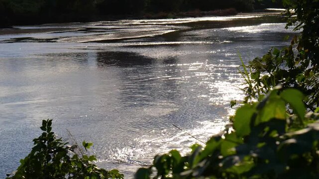 大阪、高井田、Osaka Metro中央線、JRおおさか東線、交通、鉄道、青空、雲、川、橋、林木、水