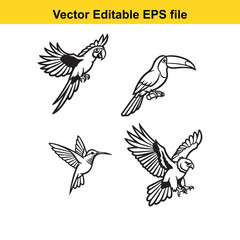 Fototapeta premium collection of four black and white bird illustrations in various flying positions vector