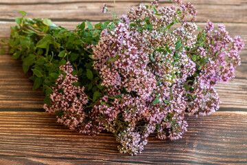Bouquet of flowering wild Oregano, Origanum vulgare, with green leaves and purple flovers on wooden background close up. Selective focus